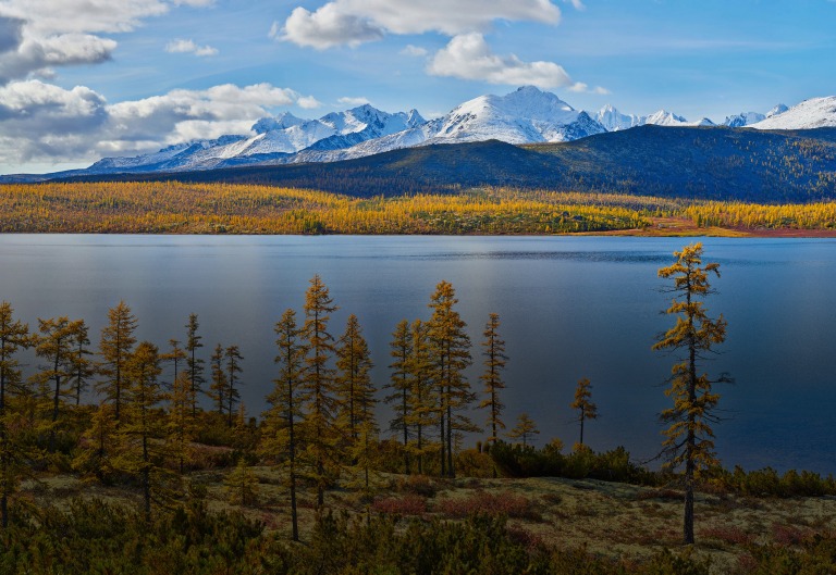 Главное